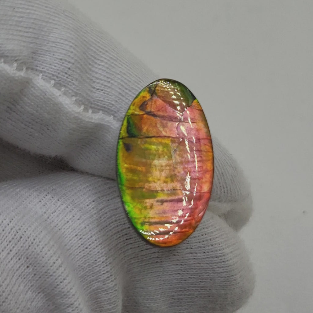 Ammolite Oval Shaped Freeform Loose Gemstone 4700325-Video