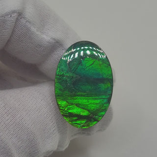Ammolite Oval Shaped Freeform Loose Gemstone 5280425-Video